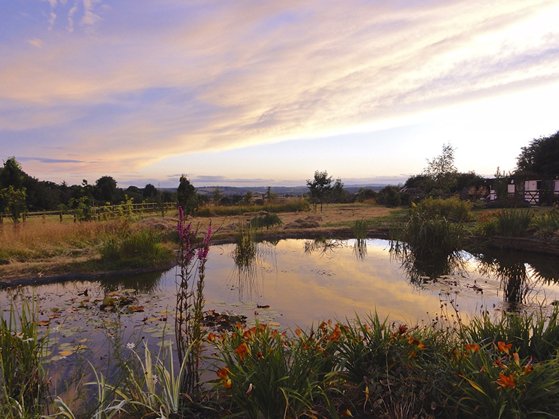 The large pond at Bracken House during a dramatic sunset,

